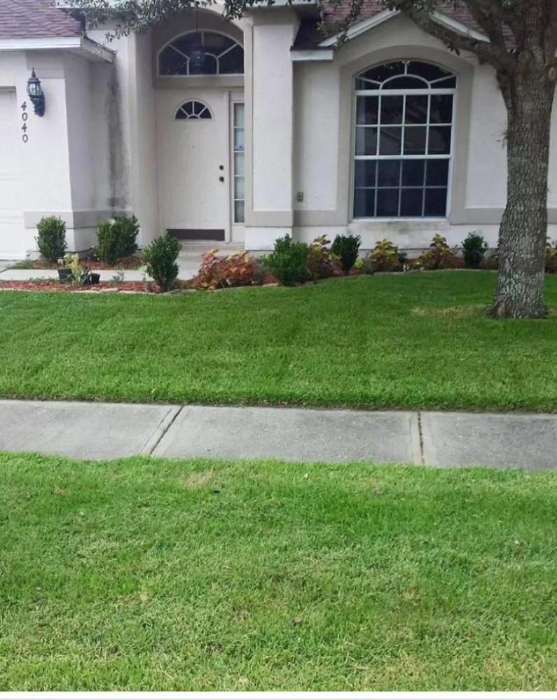 Custom lawn mowing service experts serving Union Park, FL - Edwin's Grand Slam Lawn Care