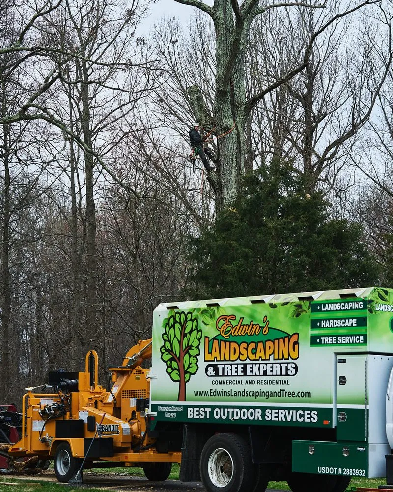 Custom lawn mowing service near you in Catonsville, MD by Edwin's Landscaping and Tree Experts