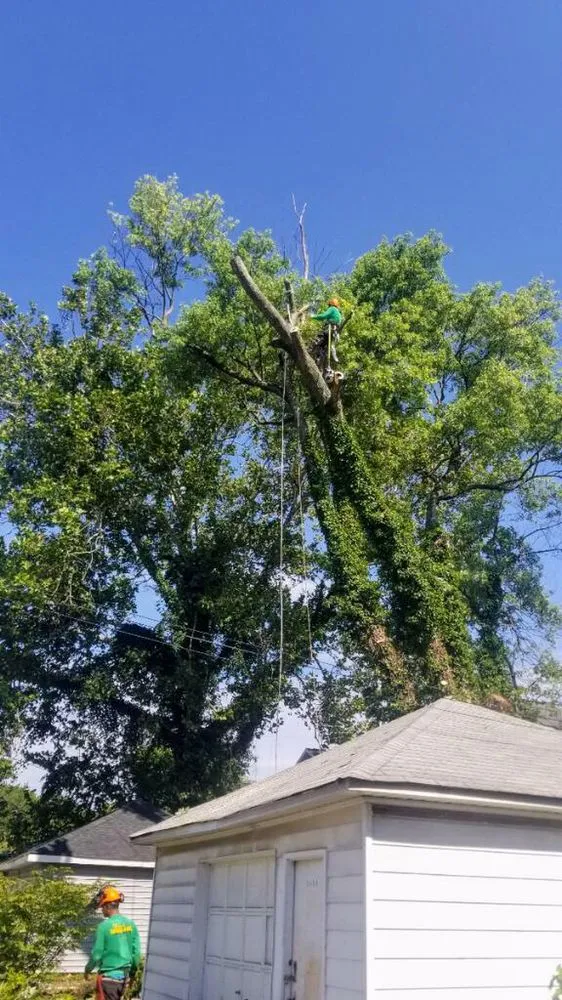 Custom outdoor landscaping for outdoor upgrades across Catonsville, MD - Edwin's Landscaping and Tree Experts