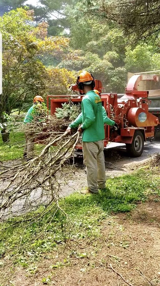 Reliable lawn mowing service in Catonsville, MD by Edwin's Landscaping and Tree Experts