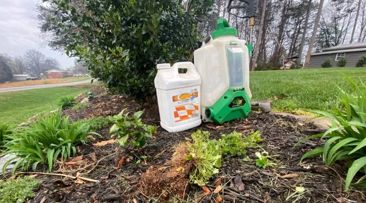 Affordable yard maintenance with custom design in Hickory, NC by Edwin's Landscaping