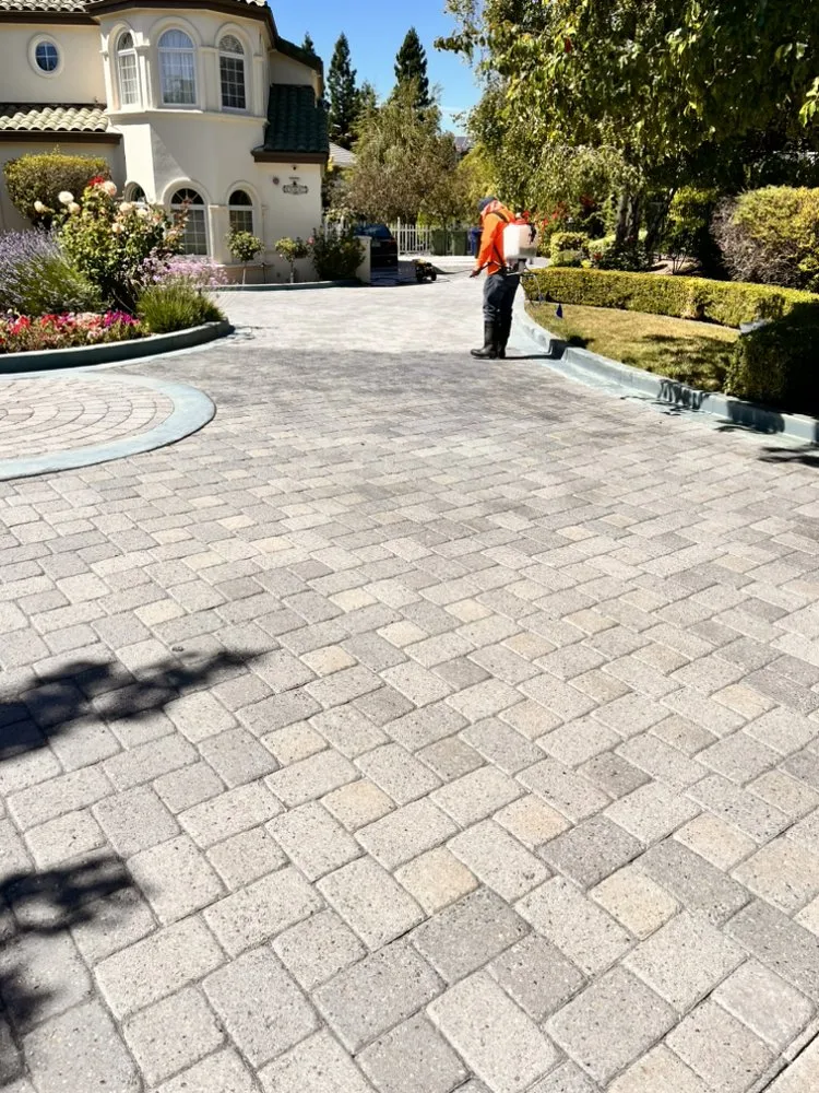 Custom garden landscaping in Tracy, CA by Edwin’s Landscaping service