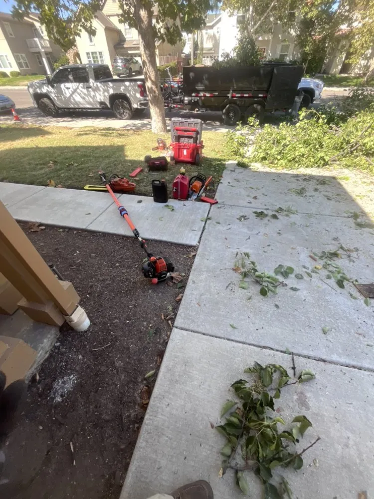 Custom residential landscaping experts serving Tracy, CA - Edwin’s Landscaping service