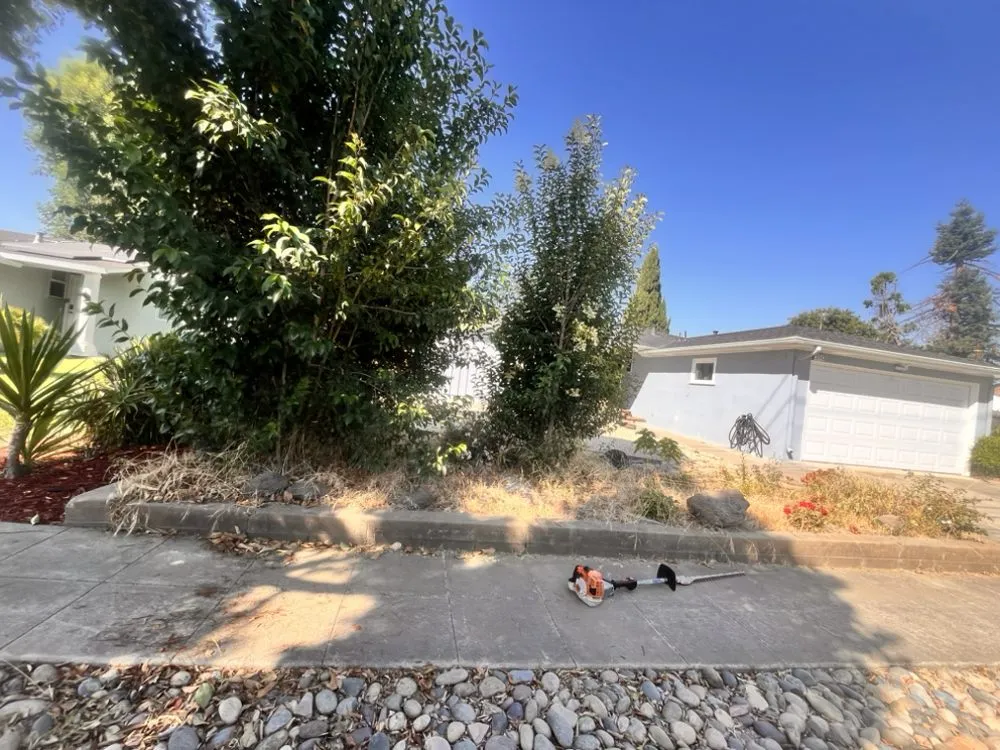 Local landscape installation in Tracy, CA by Edwin’s Landscaping service