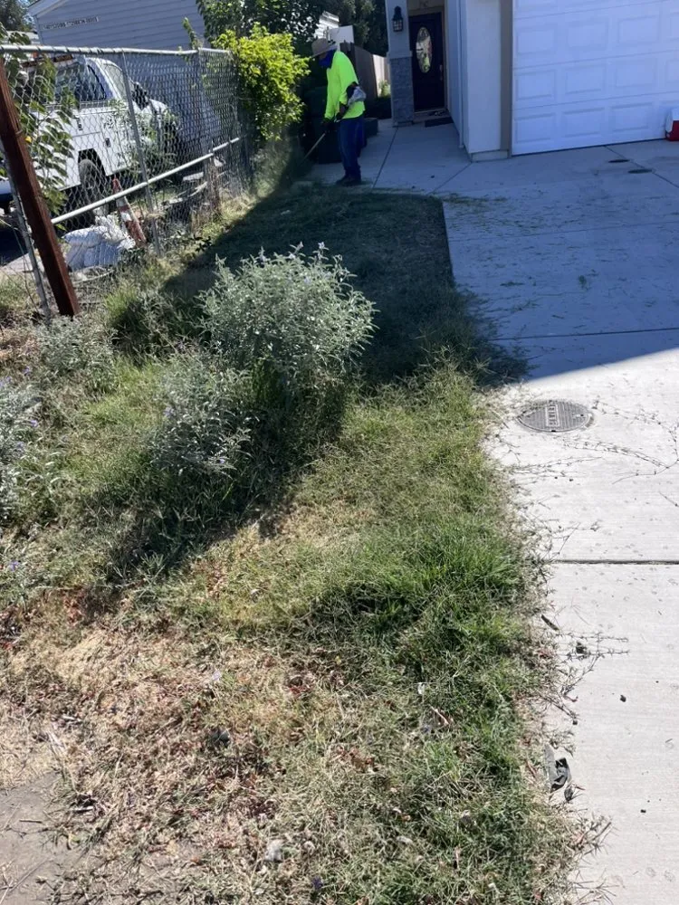 Expert yard cleanup service for residential properties across Tracy, CA - Edwin’s Landscaping service