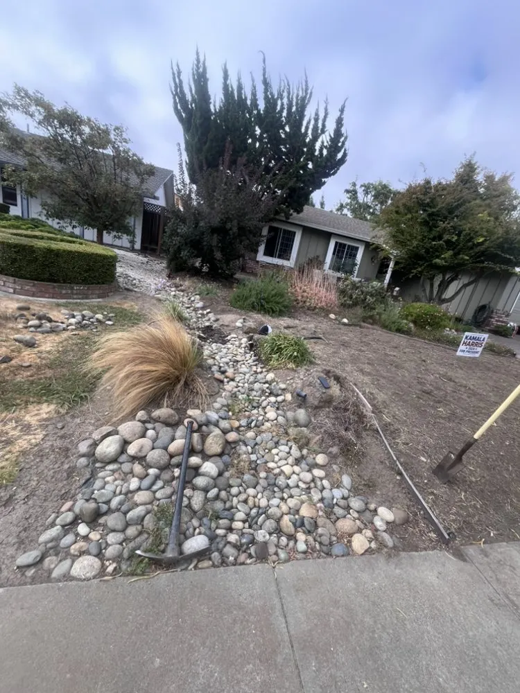 Affordable landscaping services for year-round maintenance across Tracy, CA - Edwin’s Landscaping service