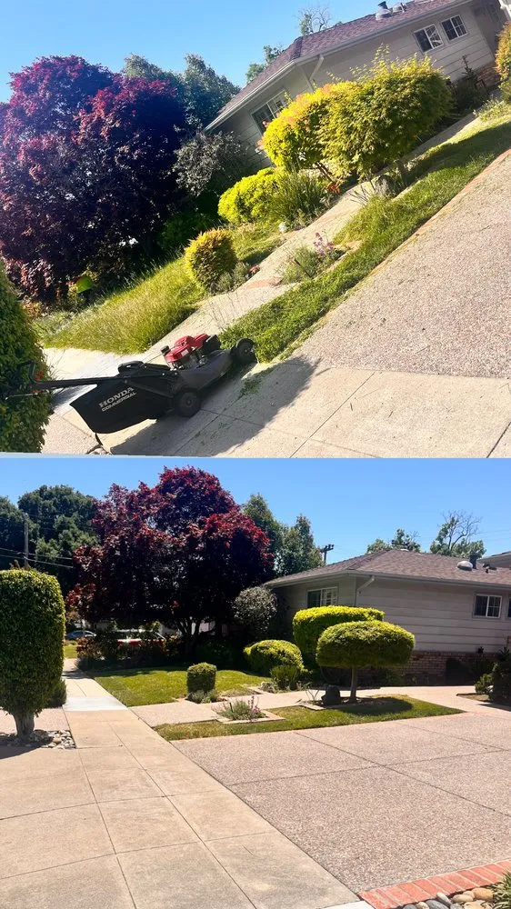 Professional garden landscaping for homes across Tracy, CA - Edwin’s Landscaping service