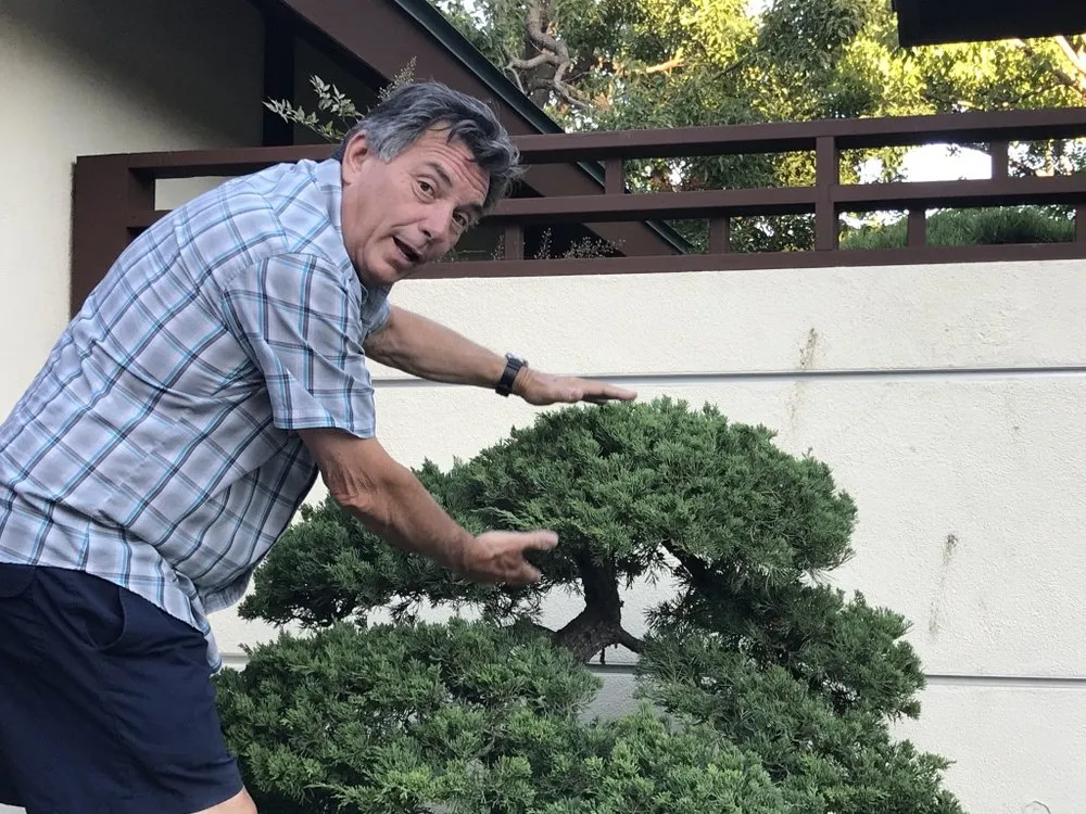 Affordable yard cleanup service for outdoor upgrades in San Diego, CA by Edwords Horticulture