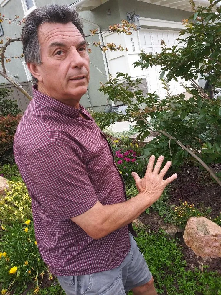 Professional landscaping services for beautiful yards across San Diego, CA - Edwords Horticulture