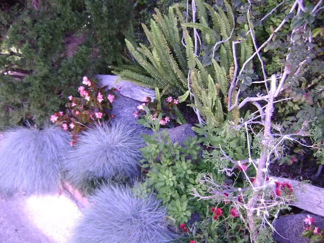 Custom landscape installation for homes in San Diego, CA by Edwords Horticulture