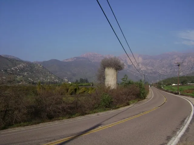 Expert garden landscaping for year-round maintenance across San Diego, CA - Edwords Horticulture