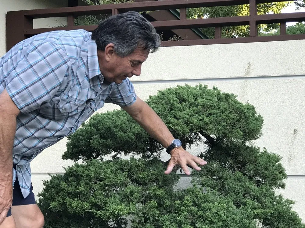 Affordable outdoor landscaping in San Diego, CA by Edwords Horticulture