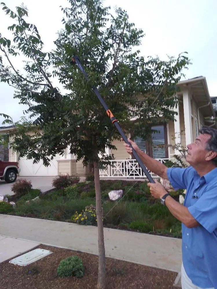 Professional residential landscaping experts serving San Diego, CA - Edwords Horticulture