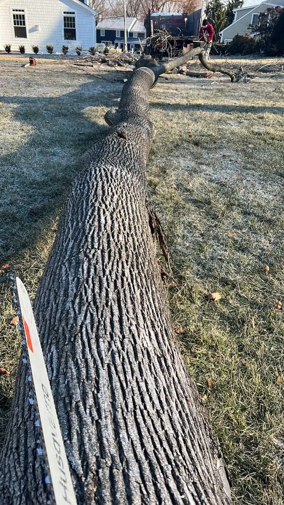 Custom landscape design in Stamford, CT by Edwork Landscaping