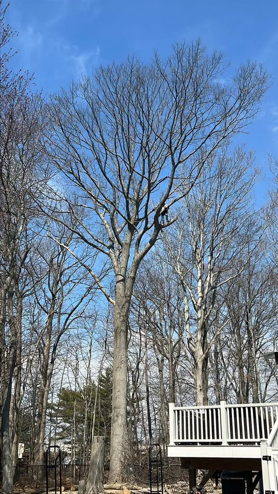 Affordable residential landscaping for residential properties across Stamford, CT - Edwork Landscaping