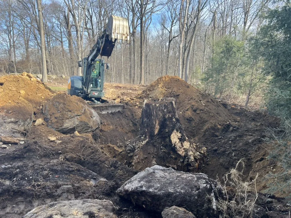 Custom yard cleanup service with custom design in Stamford, CT by Edwork Landscaping