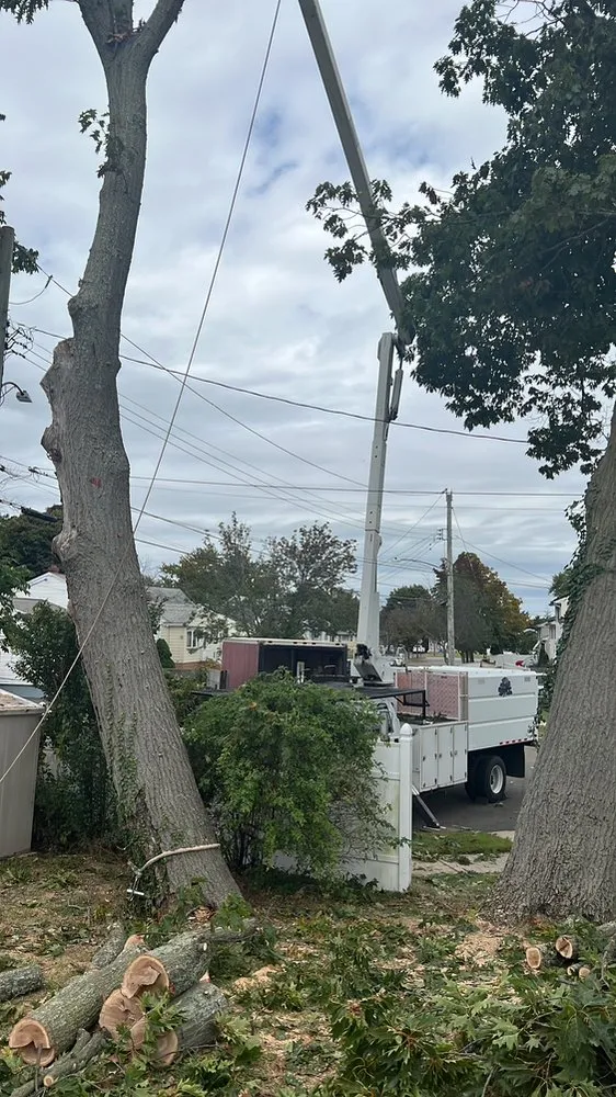 Affordable garden landscaping for year-round maintenance across Stamford, CT - Edwork Landscaping