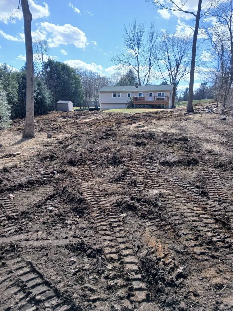 Local yard cleanup service for outdoor upgrades in Stamford, CT by Edwork Landscaping