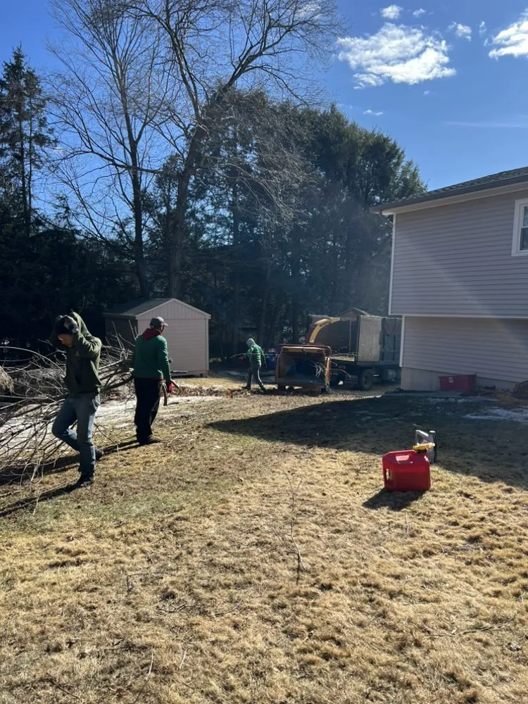 Reliable yard cleanup service for outdoor upgrades in Stamford, CT by Edwork Landscaping