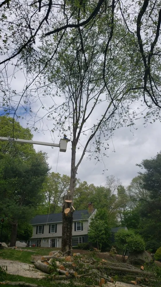 Trusted residential landscaping experts serving Stamford, CT - Edwork Landscaping