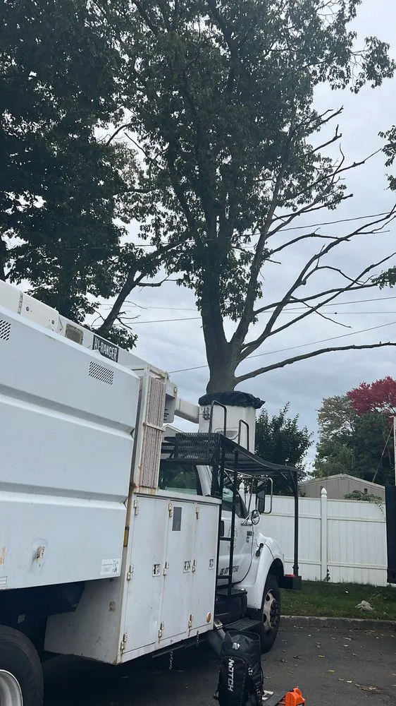 Reliable lawn care service in Stamford, CT by Edwork Landscaping