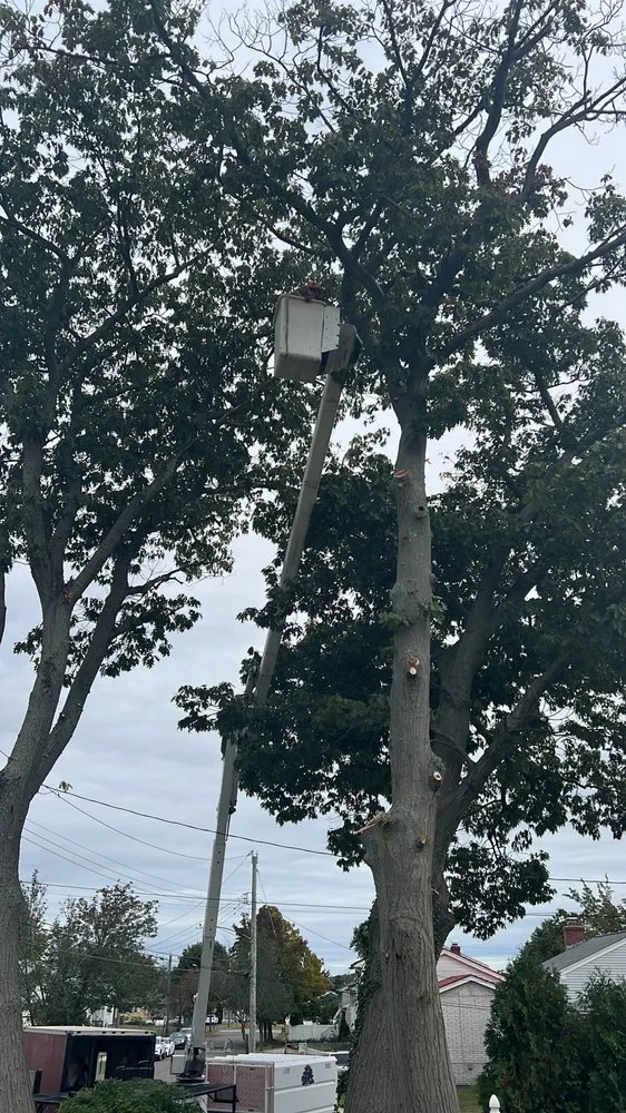 Professional garden landscaping for homes across Stamford, CT - Edwork Landscaping