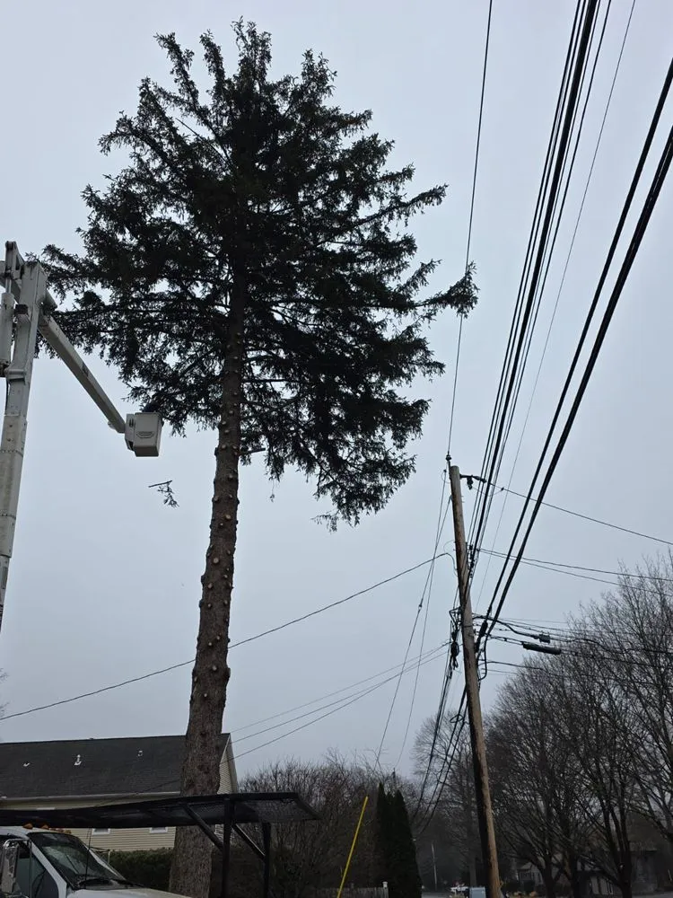 Local yard maintenance in Stamford, CT by Edwork Landscaping