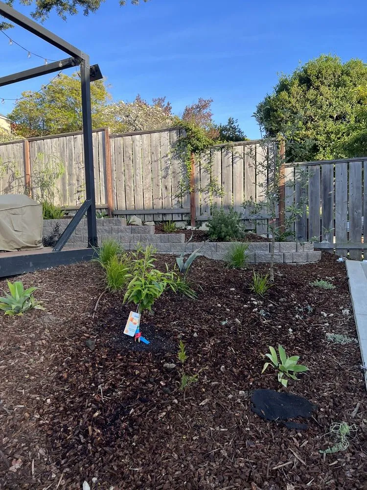 Reliable lawn mowing service near you across San Pablo, CA - Edy Miranda Landscaping