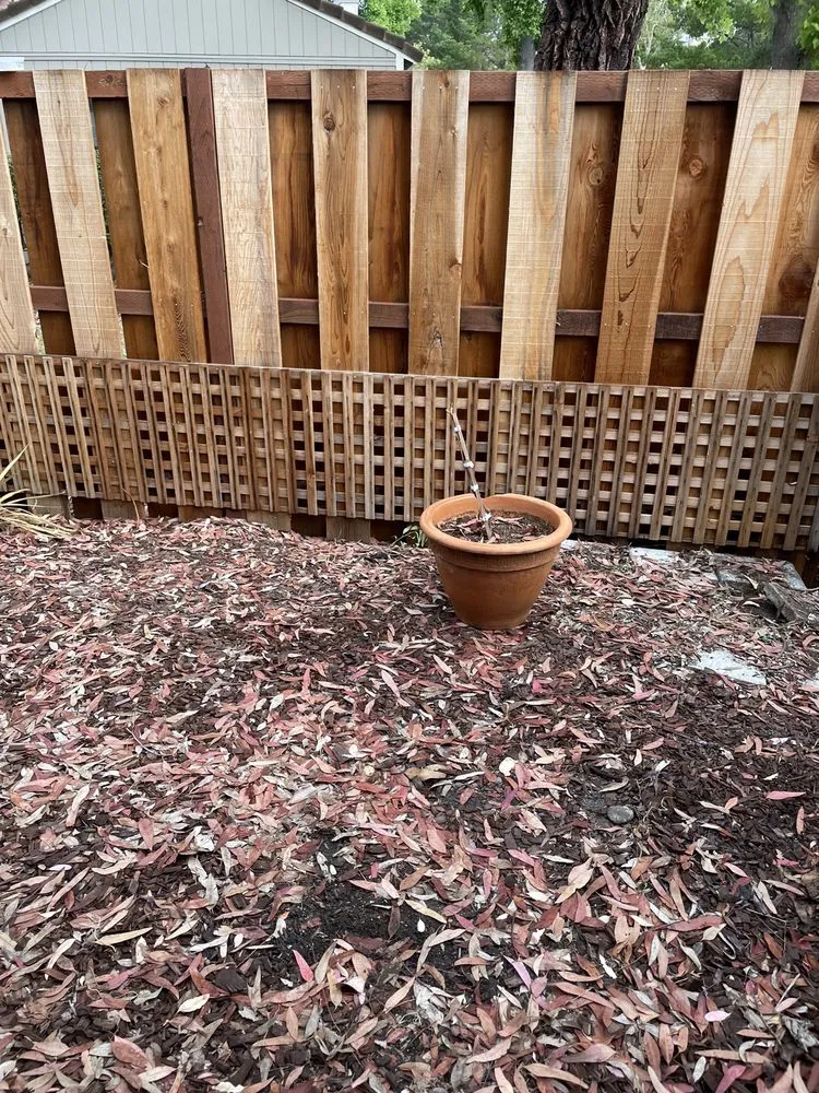 Local yard maintenance for year-round maintenance across San Pablo, CA - Edy Miranda Landscaping