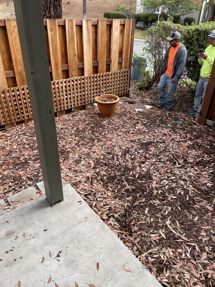 Professional landscaping services in San Pablo, CA - Edy Miranda Landscaping