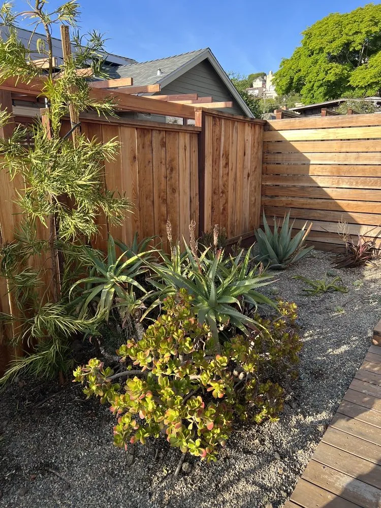 Top-rated residential landscaping experts serving San Pablo, CA - Edy Miranda Landscaping