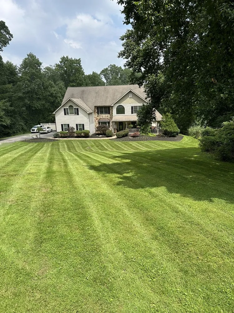 Expert lawn care service in Drexel Hill, PA by Edy’s Landscaping Services