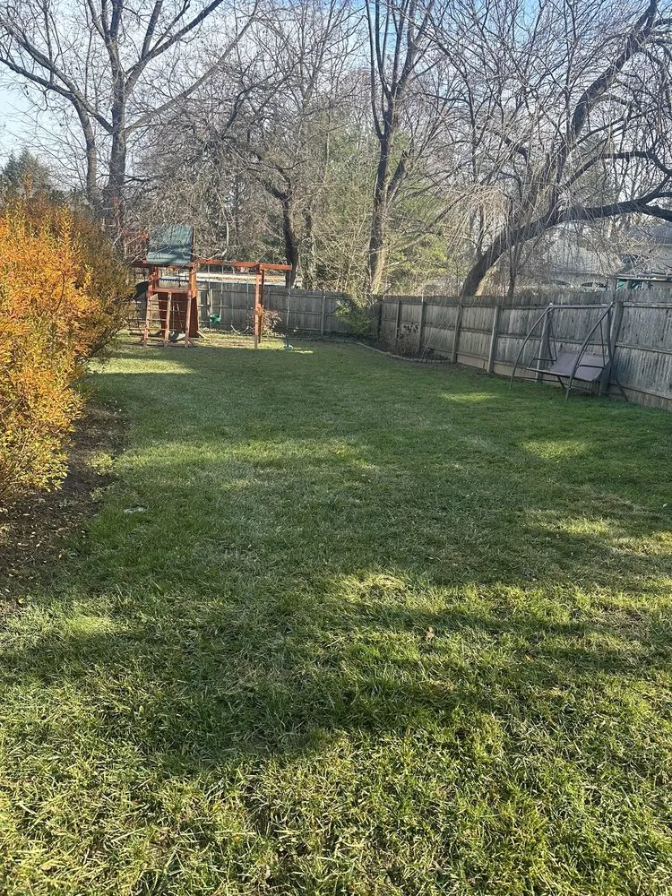 Affordable residential landscaping for outdoor upgrades in Drexel Hill, PA by Edy’s Landscaping Services