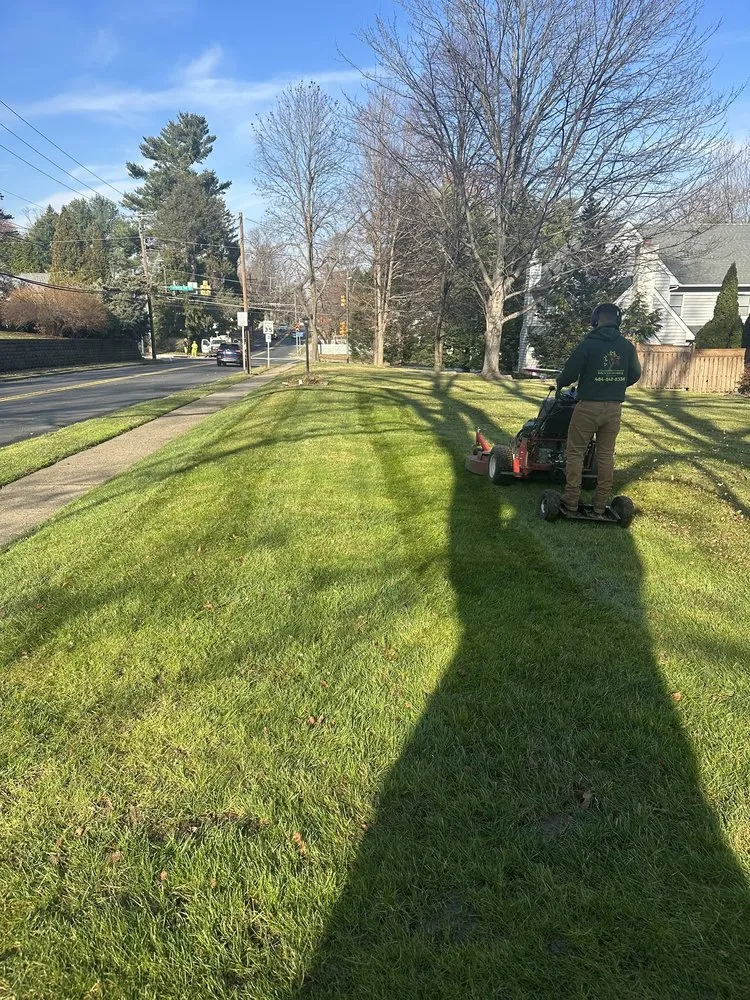 Reliable landscape installation near you in Drexel Hill, PA by Edy’s Landscaping Services