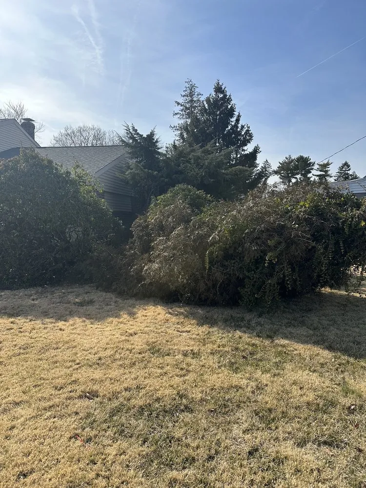 Expert landscaping services for outdoor upgrades across Drexel Hill, PA - Edy’s Landscaping Services