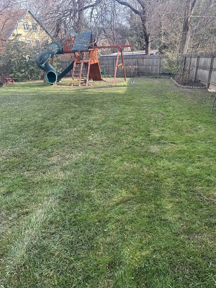 Local garden landscaping for outdoor upgrades across Drexel Hill, PA - Edy’s Landscaping Services