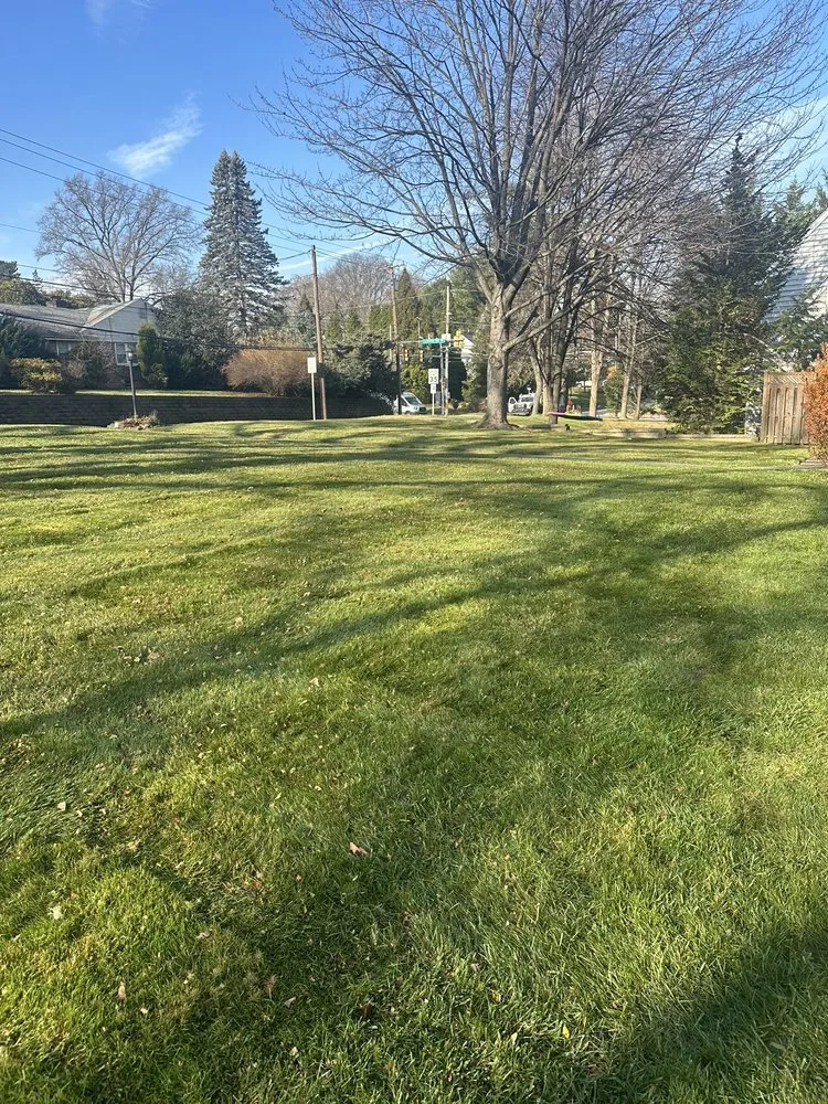 Reliable yard cleanup service for year-round maintenance across Drexel Hill, PA - Edy’s Landscaping Services