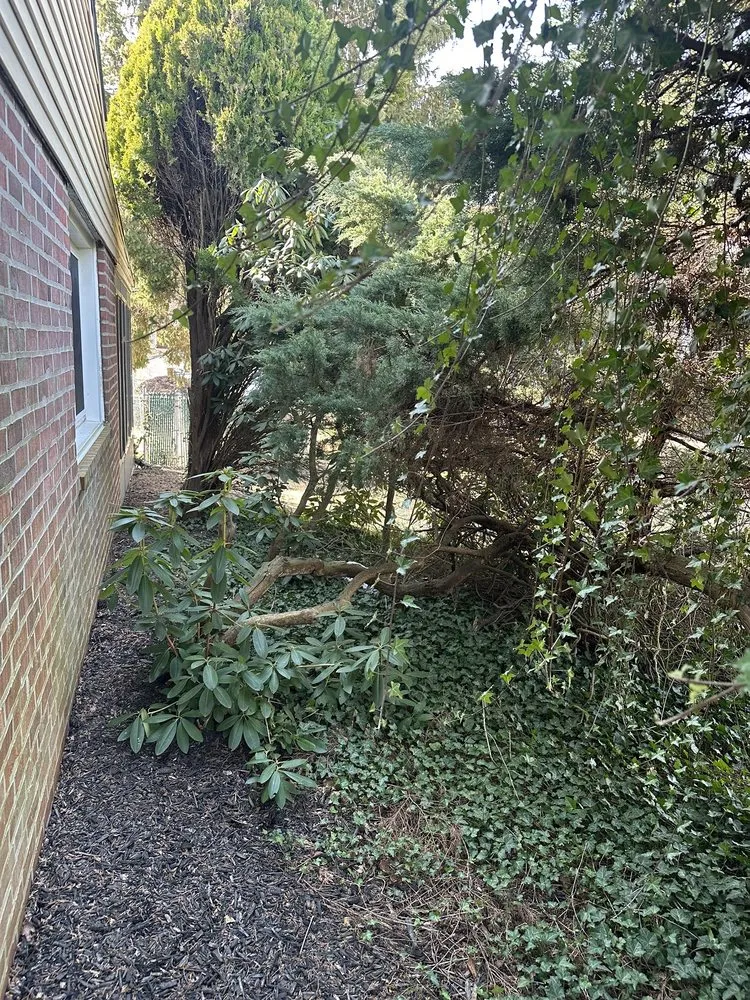 Affordable landscape installation with custom design in Drexel Hill, PA by Edy’s Landscaping Services