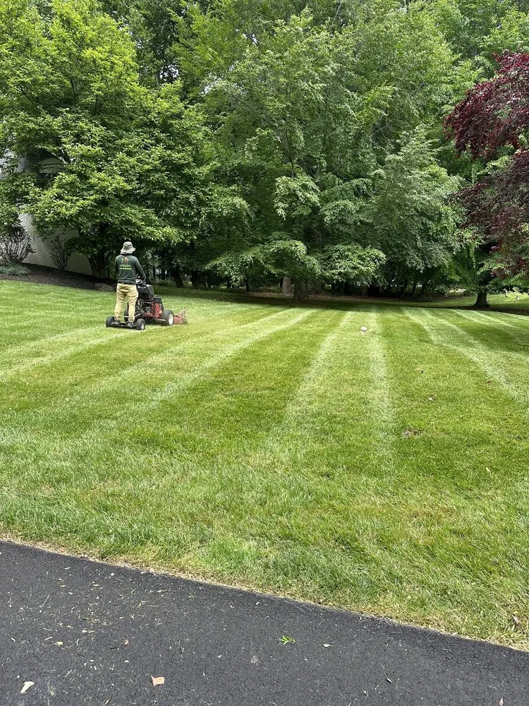 Custom yard cleanup service experts serving Drexel Hill, PA - Edy’s Landscaping Services
