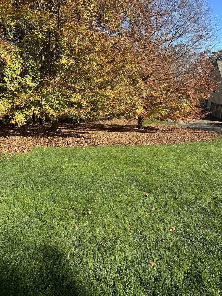Local residential landscaping for beautiful yards in Drexel Hill, PA by Edy’s Landscaping Services
