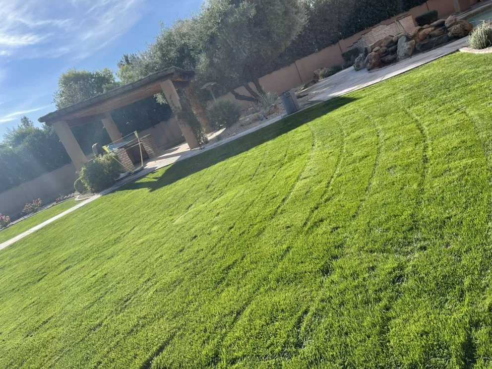 Reliable landscape installation in Phoenix, AZ - Edy’s Lawn Services