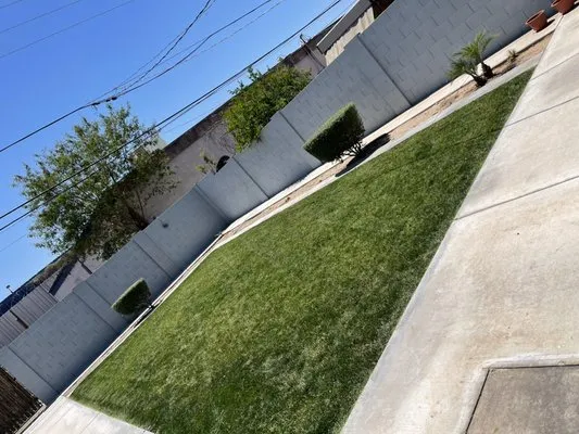 Edy’s Lawn Services Logo