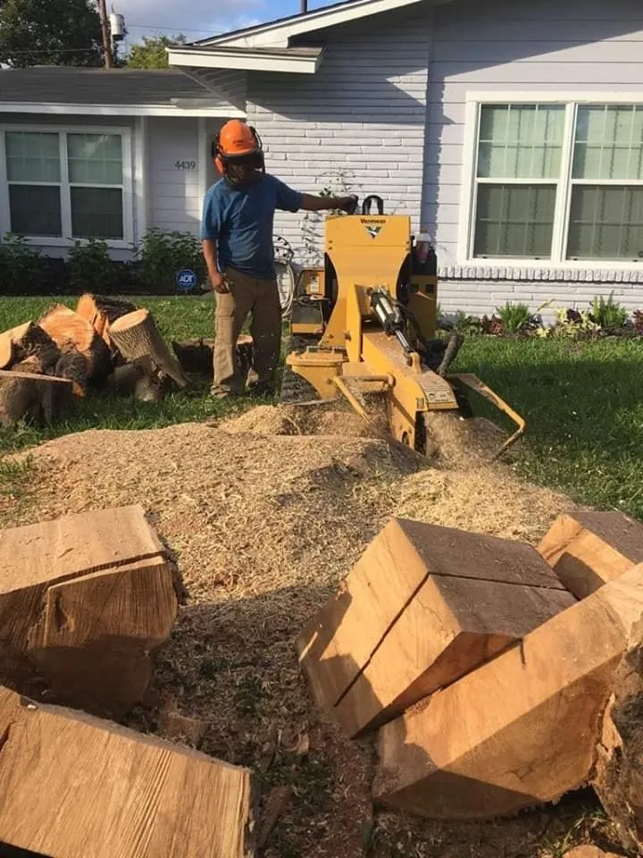 Local landscape installation in San Antonio, TX by EDYS Premier Renovation
