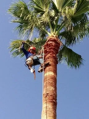 Top-rated landscape design for residential properties across San Antonio, TX - EDYS Premier Renovation