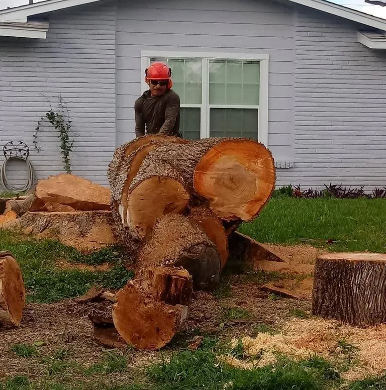 Local yard maintenance for beautiful yards across San Antonio, TX - EDYS Premier Renovation