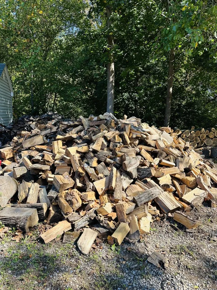 Trusted yard cleanup service in Freehold, NJ by EDZ Tree Service