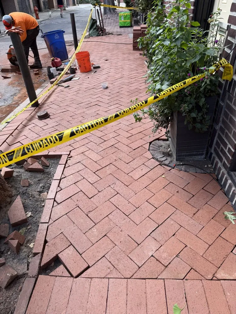 Local lawn care service in Freehold, NJ by EDZ Tree Service