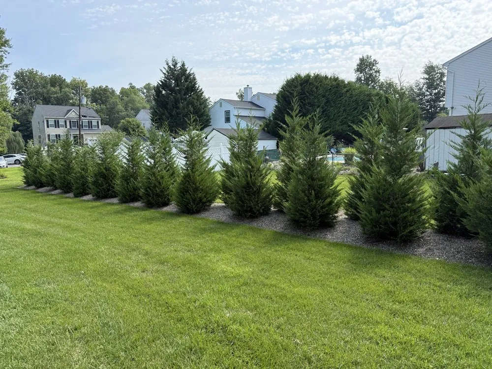 Trusted garden landscaping for outdoor upgrades across Freehold, NJ - EDZ Tree Service