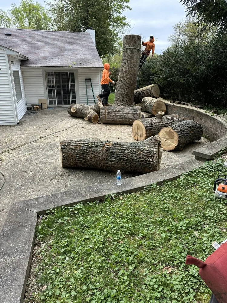 Custom landscape design with custom design across Freehold, NJ - EDZ Tree Service