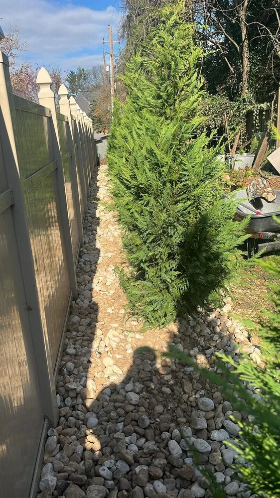 Expert residential landscaping with custom design across Freehold, NJ - EDZ Tree Service